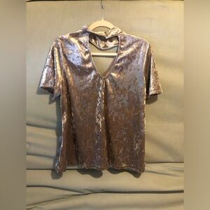 Velvet V-Neck Top in Shimmering Tan XL